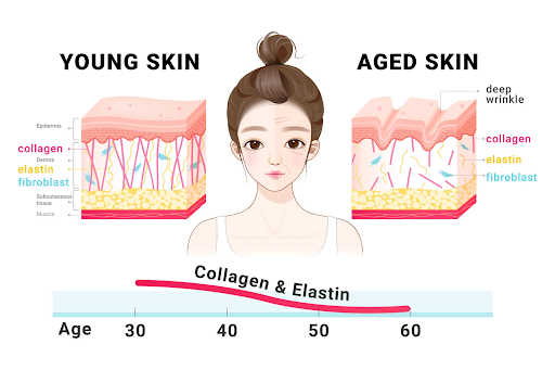 collagen sâm ngọc linh